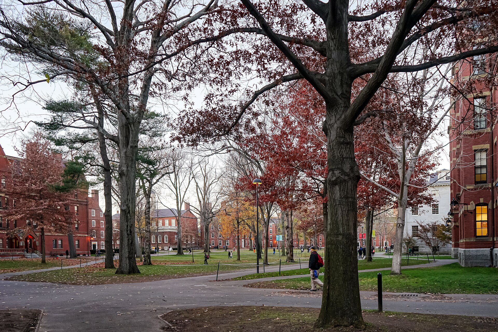Harvard Yard in autumn