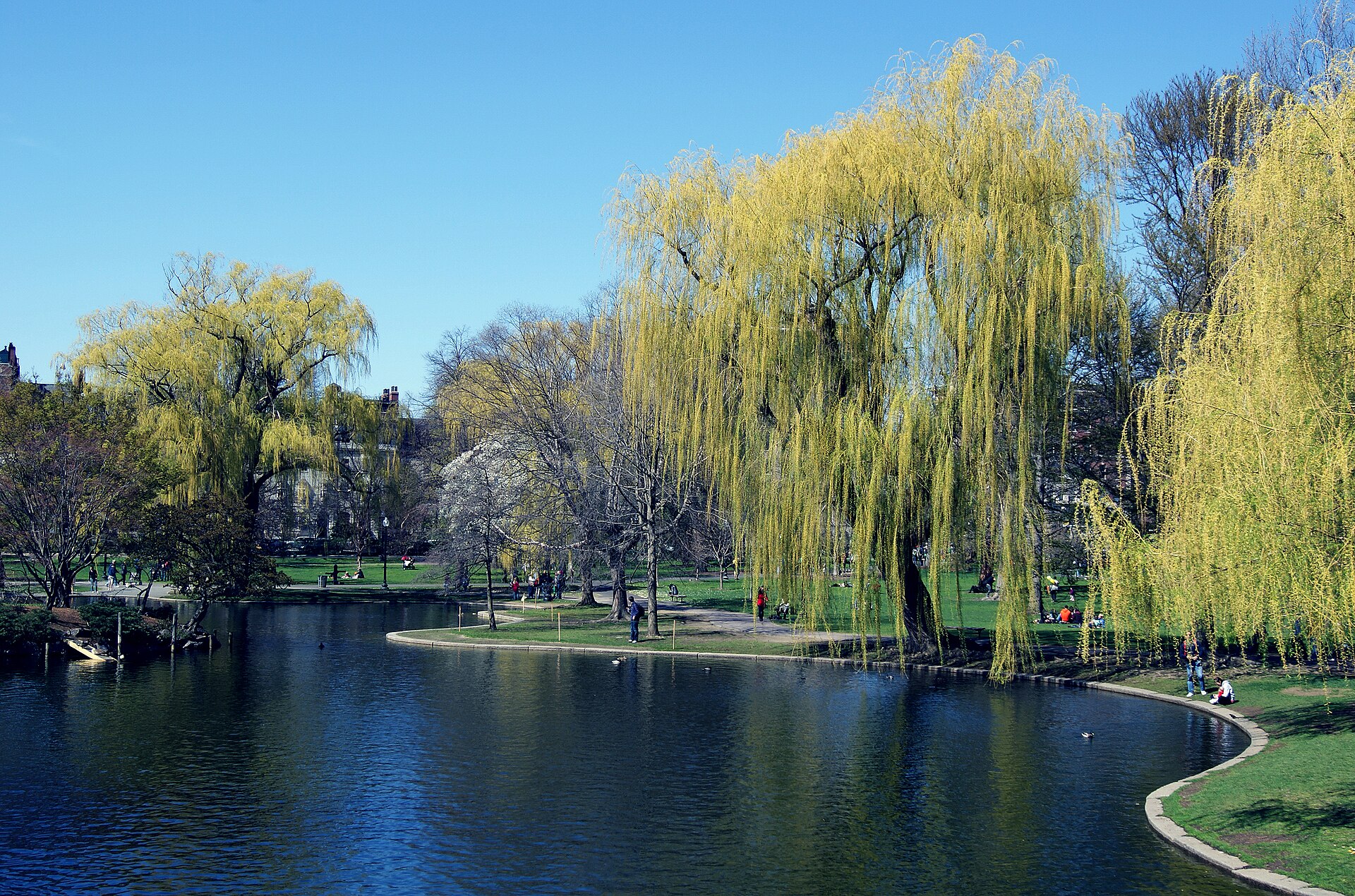 Boston Public Garden in spring