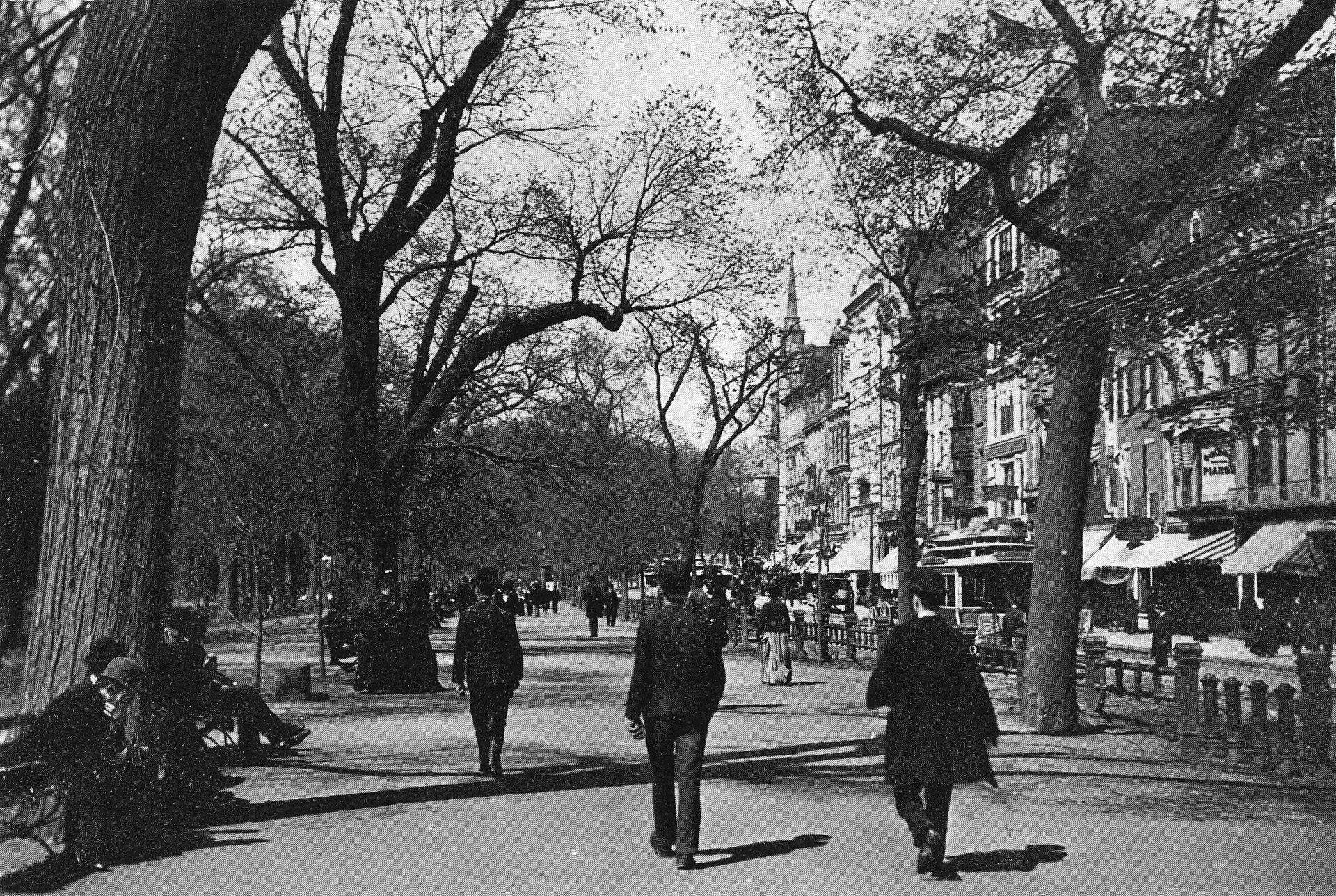 Tremont Street Walk on Boston Common, about 1895